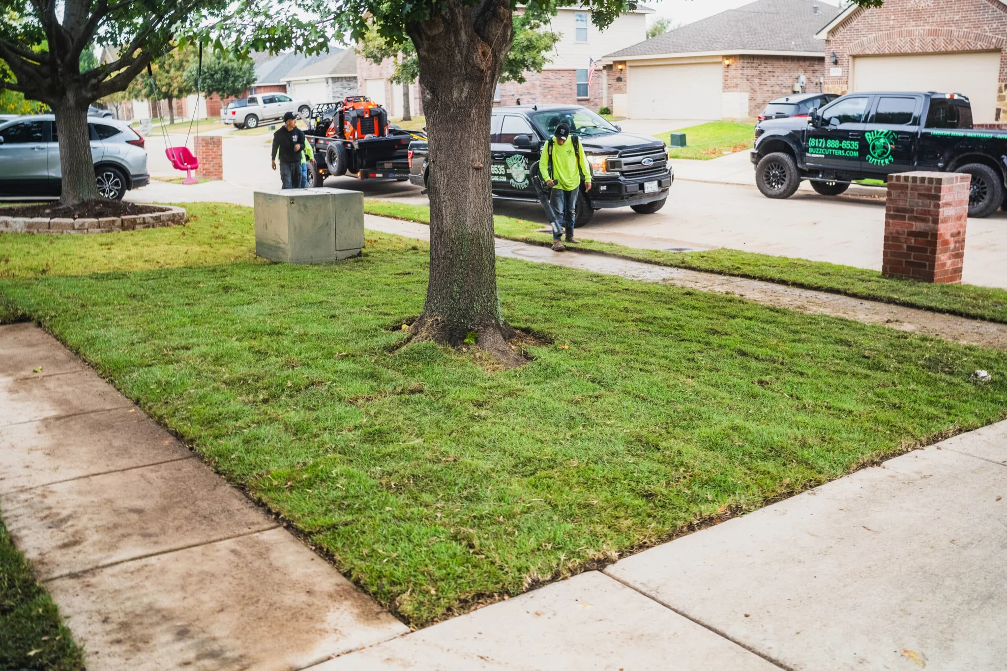 Designing a Texas-Friendly Landscape: What Works Best in Colleyville