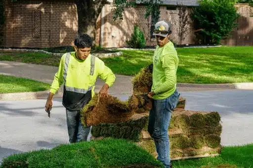 Sod Installation