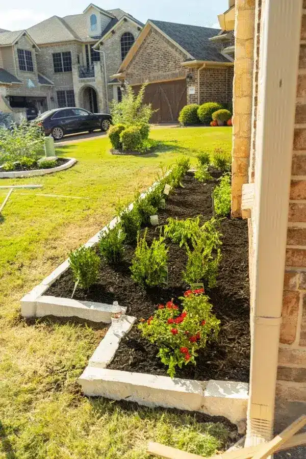 Planting