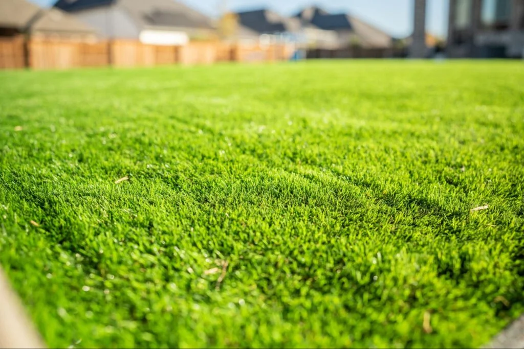 Why regular lawn care is essential for a lush, green yard
