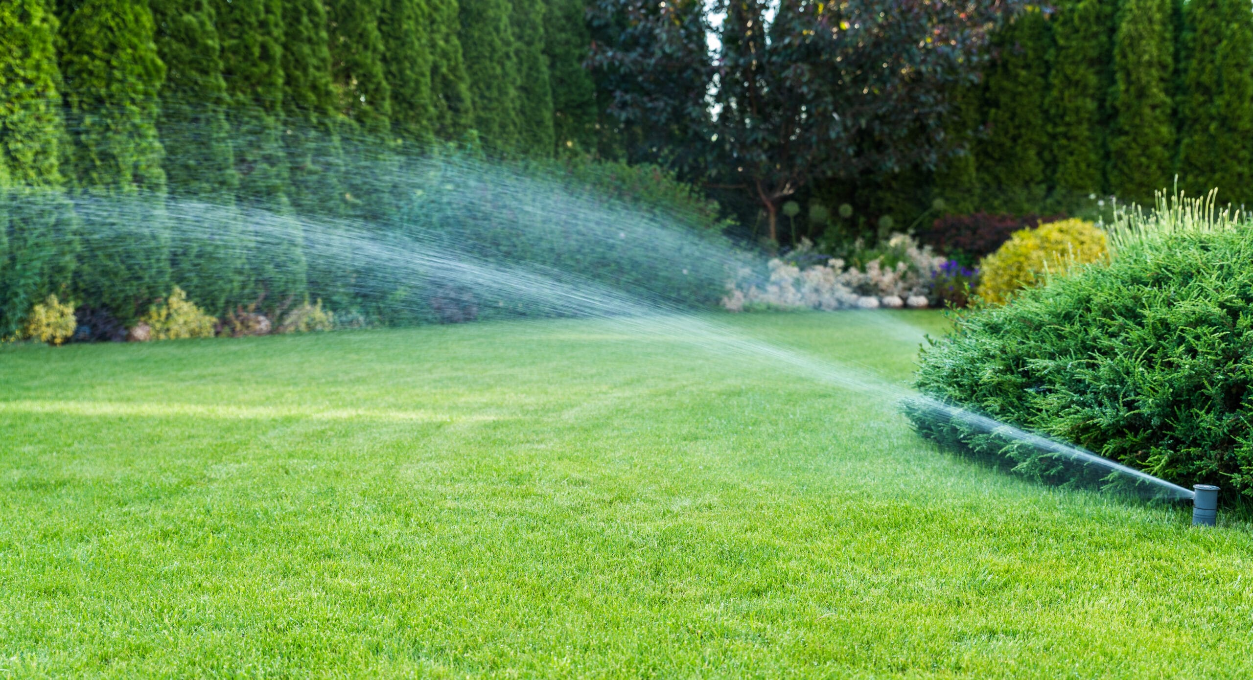 How Smart Irrigation Systems Save Water and Money in Colleyville Yards