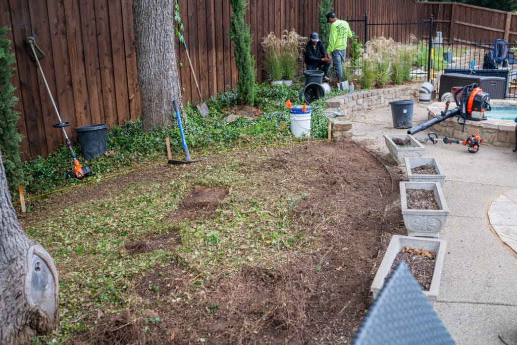 seasonal landscape cleanups are essential for plant health