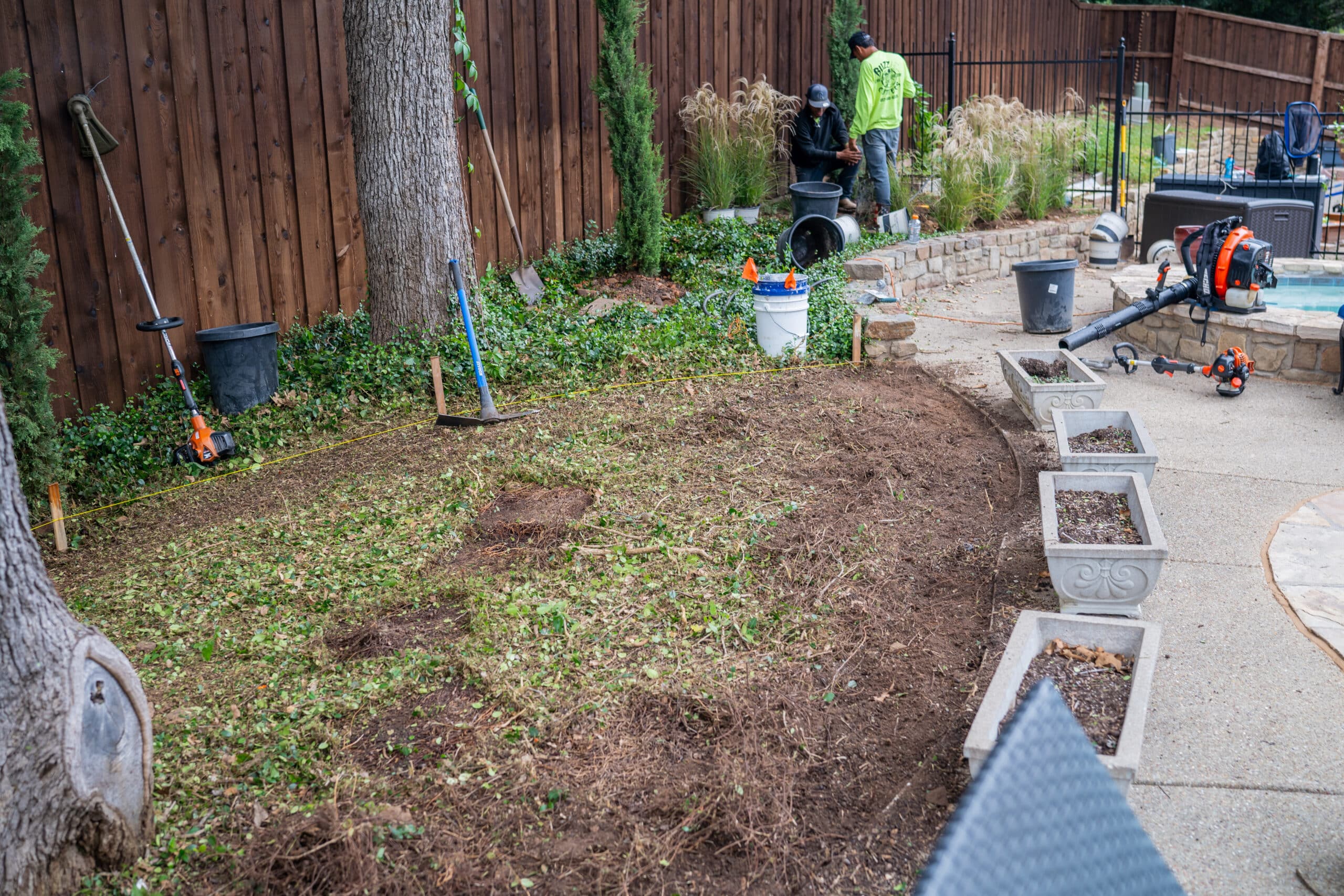 Why Seasonal Landscape Cleanups Are Essential for Plant Health