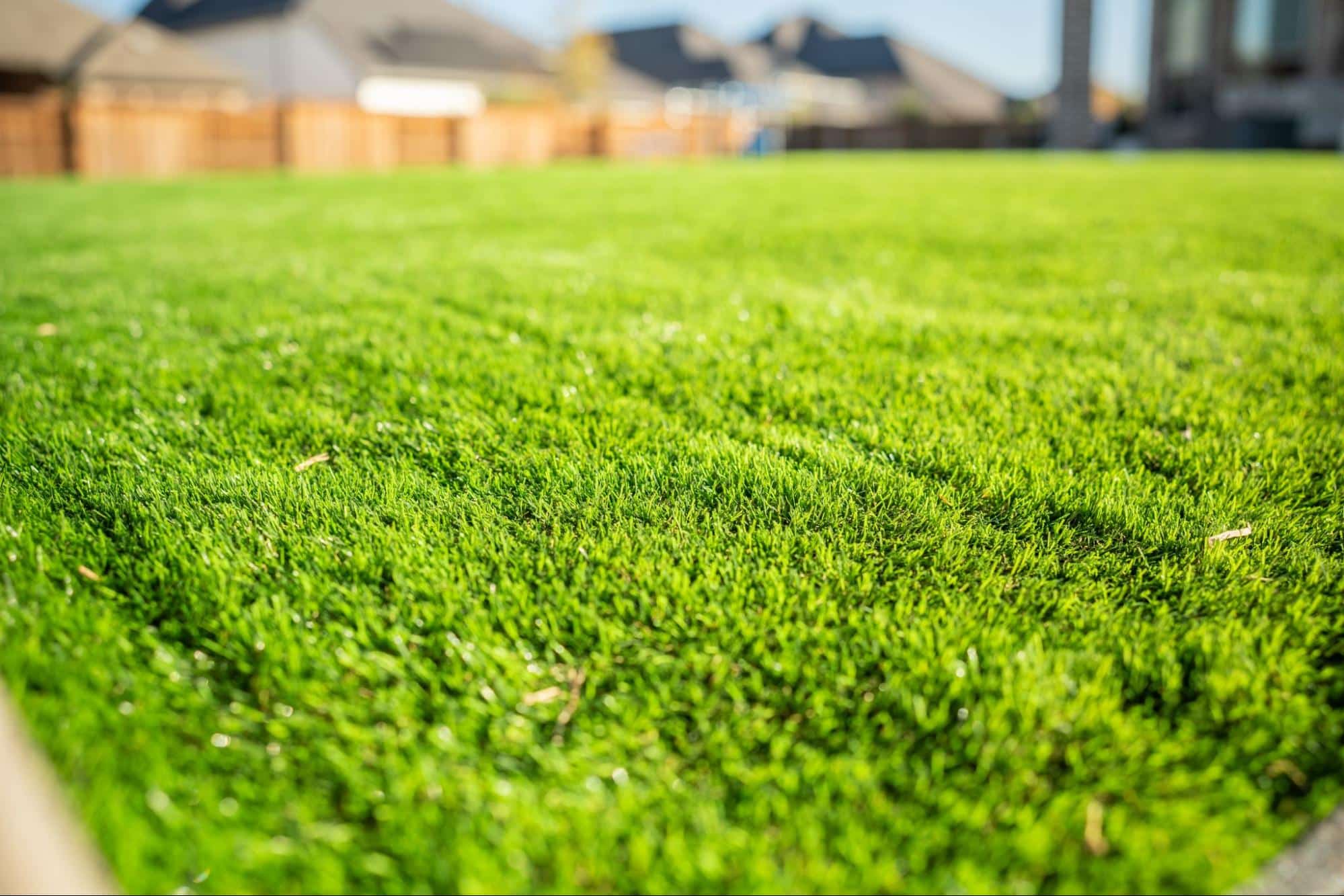 Why Consistent Lawn Care Is the Secret to a Healthy, Green Yard