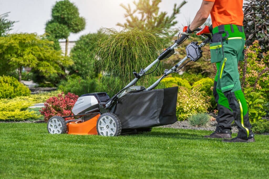 Lawn care services near me fixing patchy grass in residential yard