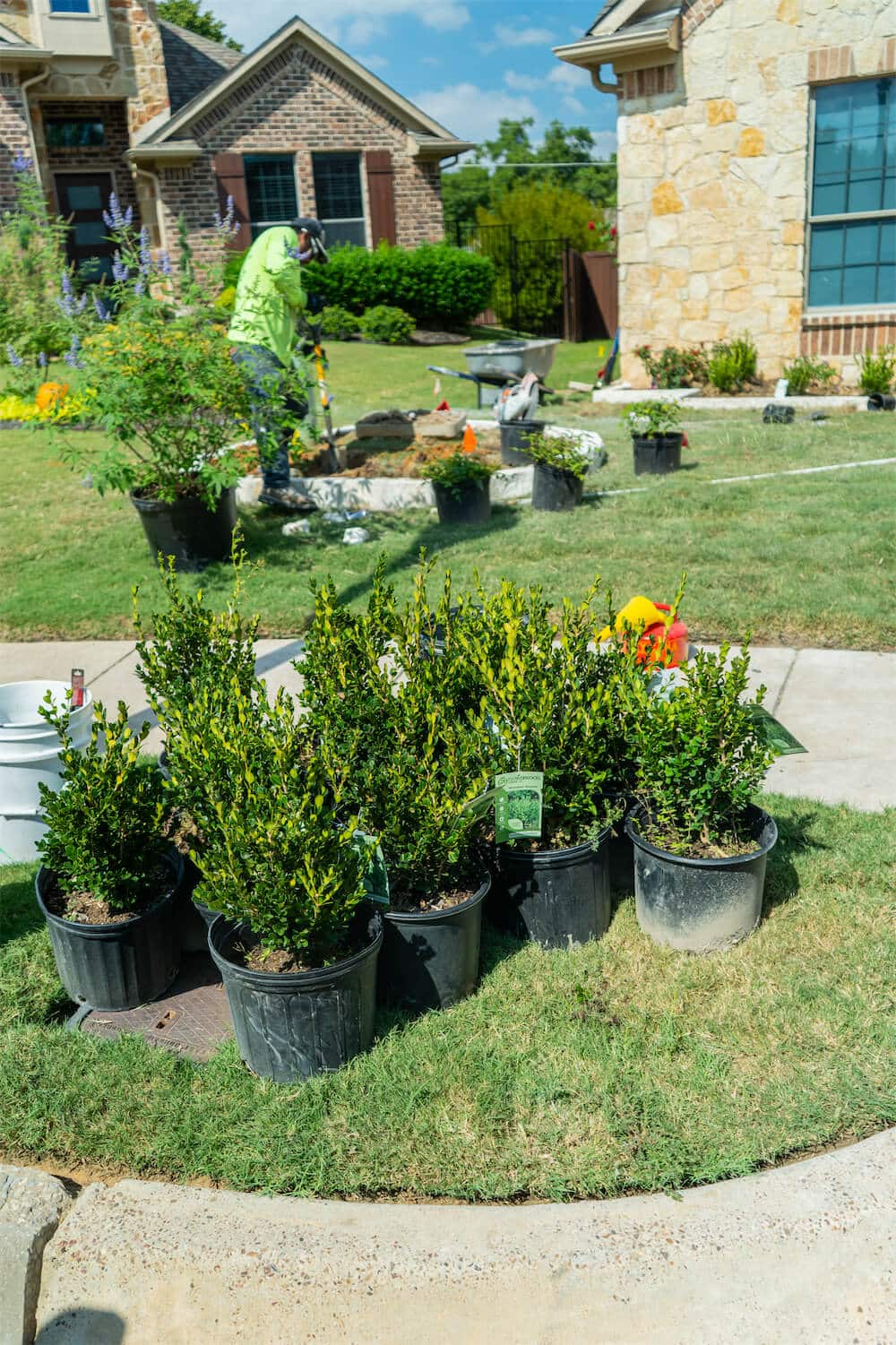 Professional outdoor residential lawn maintenance service in Colleyville TX