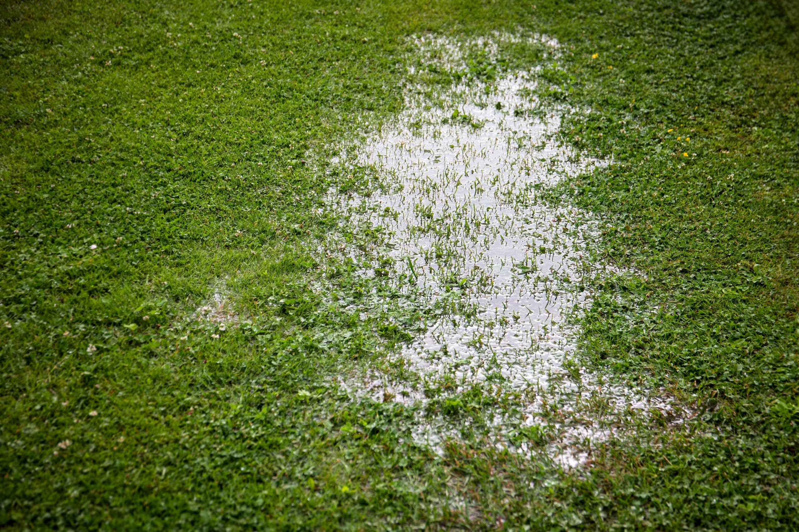 Why North Texas Yards Flood and How to Fix Drainage in Colleyville’s Clay Soil
